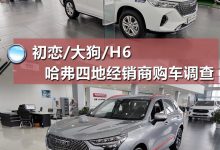 调查：初恋一车难求 H6至高优惠2.5万元-深圳汽车网