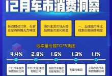 新能源车时代已来临 12月车市消费洞察-深圳汽车网