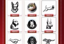 为哈弗大狗选车标 哈弗推“百万悬赏”-深圳汽车网