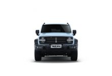 3月14日上市 坦克300限定版官图发布-深圳汽车网