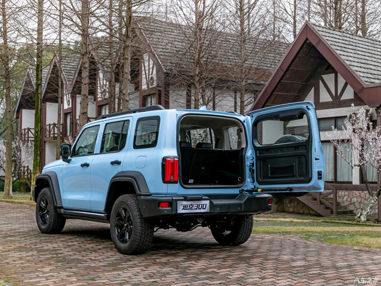 长城汽车 坦克300 2021款 2.0T 致敬莫奈限定版