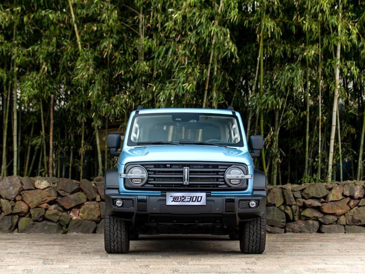 长城汽车 坦克300 2021款 2.0T 致敬莫奈限定版