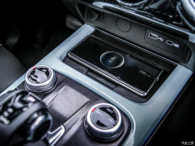 长城汽车 坦克300 2021款 2.0T 致敬莫奈限定版