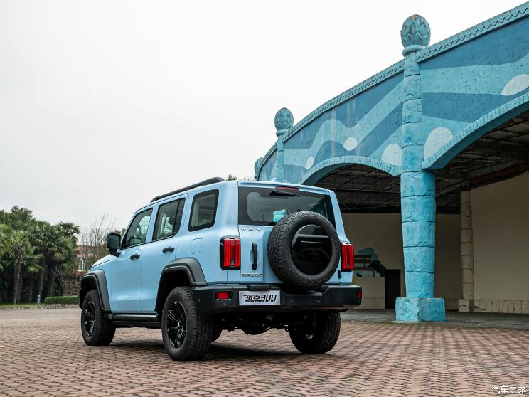 长城汽车 坦克300 2021款 2.0T 致敬莫奈限定版