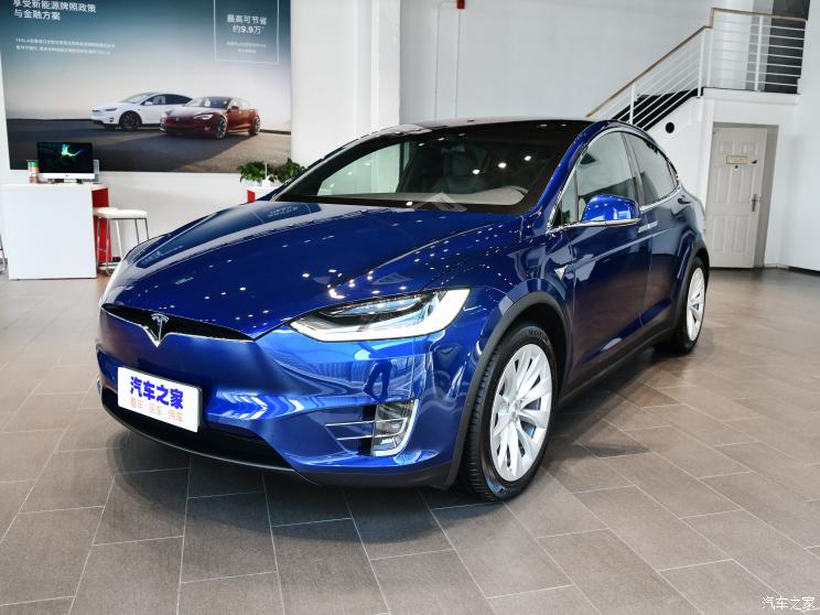 特斯拉（进口） Model X 2019款 Performance 高性能版