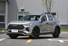 又一“动物”系列 哈弗赤兔5月20日上市-深圳汽车网