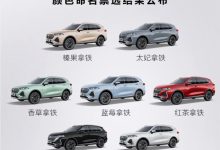 延续咖啡风 WEY公布拿铁车身颜色命名-深圳汽车网