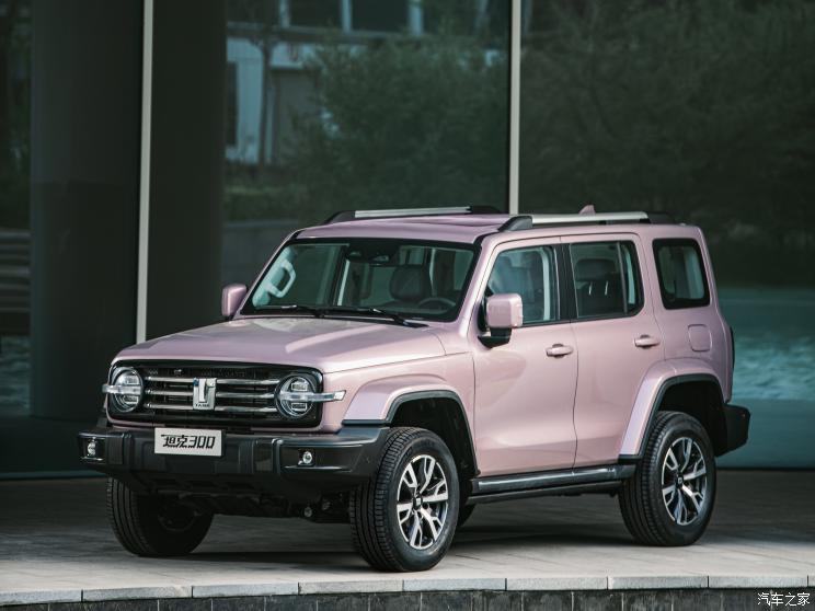 长城汽车 坦克300 2021款 城市版 2.0T 很有型 长城汽车 坦克300 2021款 城市版 2.0T 很有型