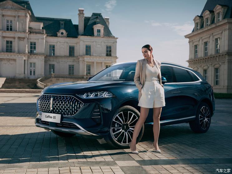 长城汽车 摩卡新能源 2021款 PHEV 基本型 长城汽车 摩卡新能源 2021款 PHEV 基本型