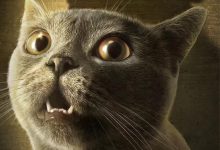 惊到喵呜？ 荣威龙猫将于10月27日亮相-深圳汽车网