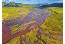 定了!中国正式宣布设立第一批国家公园-深圳汽车网