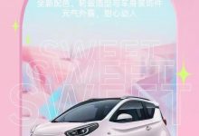11月13日上市 曝奇瑞小蚂蚁甜粉款配置-深圳汽车网