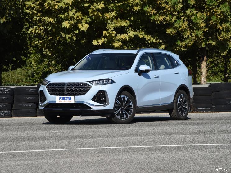 长城汽车 拿铁 2022款 1.5T DHT超大杯 长城汽车 拿铁 2022款 1.5T DHT超大杯