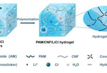 丰田旗下零部件厂商开发植物纤维材料-深圳汽车网
