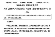 盐湖股份与国轩高科签战略合作框架协议-深圳汽车网