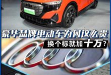 车标值十万？豪华品牌电动车的定价逻辑-深圳汽车网