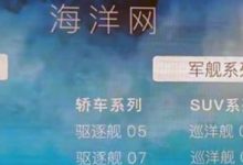 将是产品大年 比亚迪海洋系列新车规划-深圳汽车网