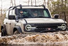 为户外而生 福特Bronco Everglades官图-深圳汽车网