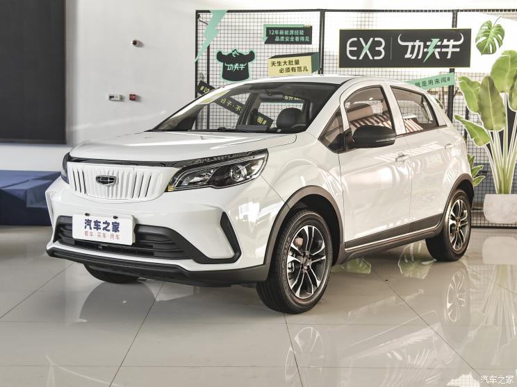 几何汽车 EX3 功夫牛 2021款 坚强牛牛