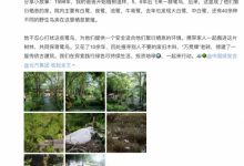 低碳公益引1500万人关注 北汽用行动助力国家双碳目标-深圳汽车网