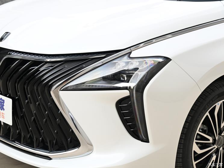 东风风行 风行・游艇 2022款 逐浪版