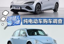 比亚迪海豹等 热门新能源车购车调查-深圳汽车网