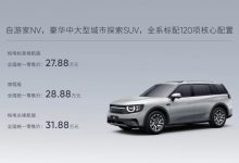 售价27.88万元起 自游家NV正式上市-深圳汽车网