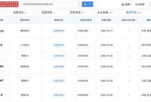 理想汽车申请多个“L系”/“M系”商标-深圳汽车网