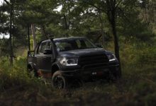 售15.58万元 中兴1986竞技版皮卡上市-深圳汽车网