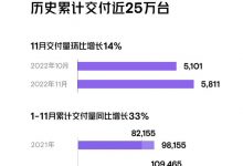 环比增长14% 小鹏汽车公布11月交付量-深圳汽车网