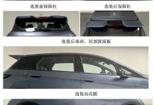 申报信息曝光 比亚迪海豚将推运动版？-深圳汽车网