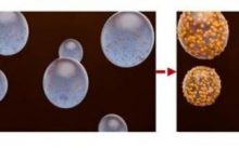 可用于自动驾驶雷达 韩国研发出新技术-深圳汽车网