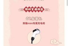 2022广州车展：吉利熊猫mini新春版上市-深圳汽车网