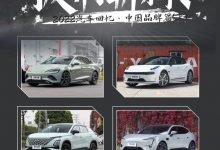 回望2022|披荆斩棘:中国品牌的发展(上)-深圳汽车网