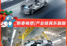 新春畅想|锂矿白菜价/芯片堆积/FSD疯抢-深圳汽车网