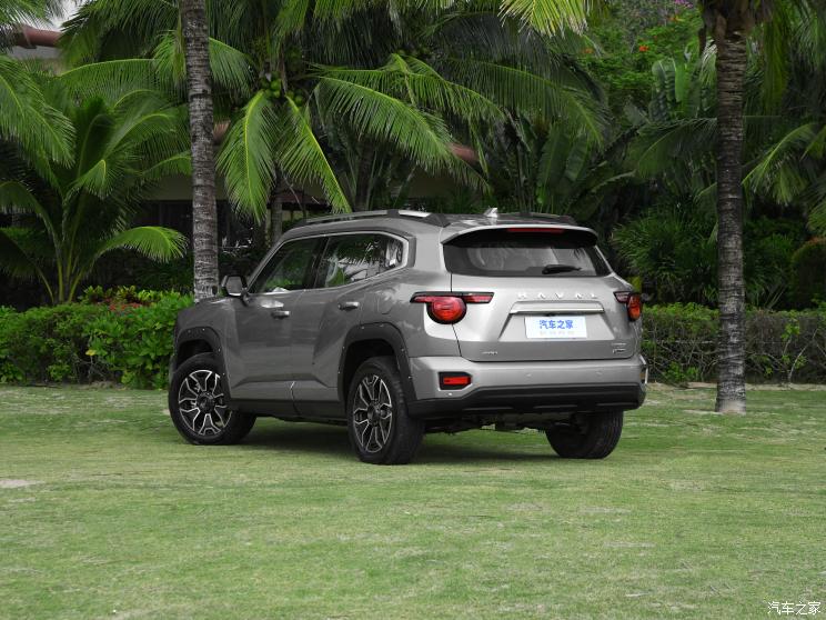 长城汽车 哈弗H-DOG新能源 2023款 基本型