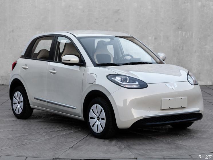 上汽通用五菱 五菱缤果 2023款 333km 上汽通用五菱 五菱缤果 2023款 333km