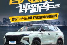 百人口碑评新车――东风风神皓极如何？-深圳汽车网