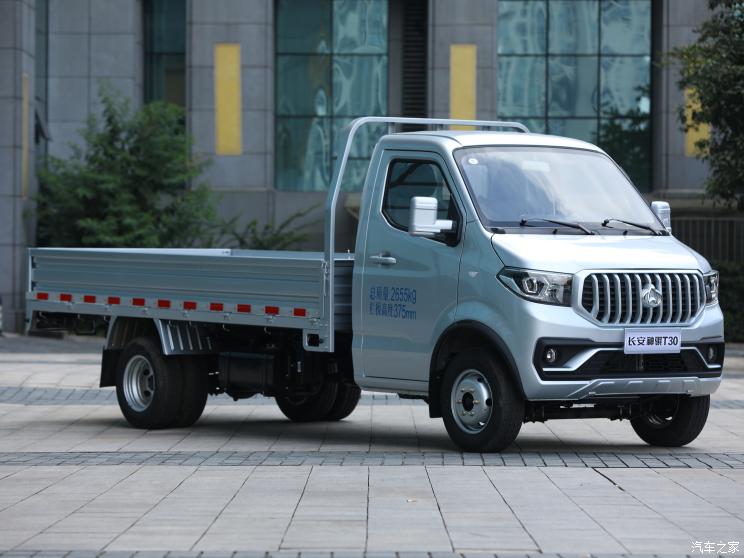 长安凯程 长安神骐T30 2021款 基本型 长安凯程 长安神骐T30 2021款 基本型