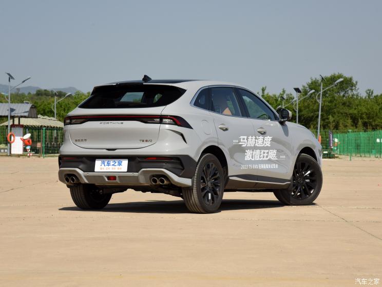 东风风行 风行T5 EVO 2024款 狂飚版 1.5TD DCT马赫荣耀款 东风风行 风行T5 EVO 2024款 狂飚版 1.5TD DCT马赫荣耀款