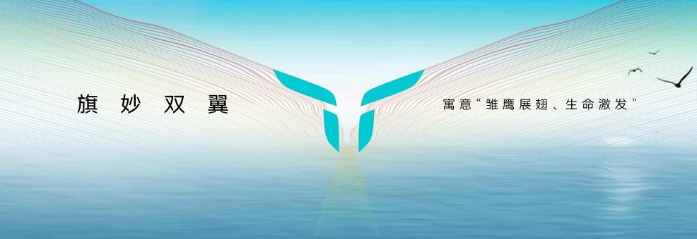 月销量成绩瞩目