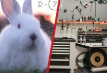 疑似高尔夫GTI 大众神秘车型9月3日亮相-深圳汽车网