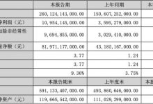 新能源营收大增 比亚迪发布上半年财报-深圳汽车网
