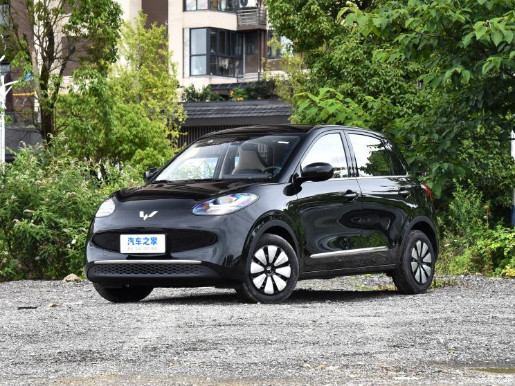 上汽通用五菱 五菱缤果 2023款 203km 舒享款