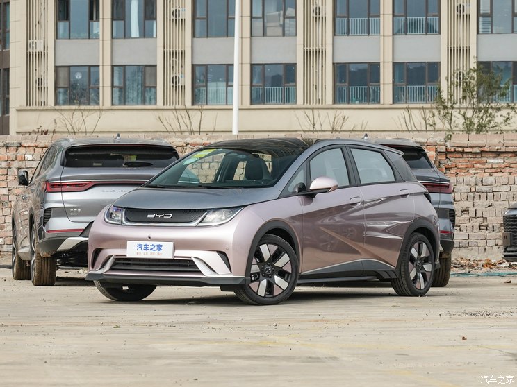 比亚迪 海豚 2023款 401km 骑士版 比亚迪 海豚 2023款 401km 骑士版