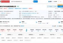 总金额超1亿元 威马汽车申请破产审查-深圳汽车网