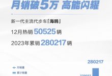 2023年海鸥销量达28万辆 12月卖出5万辆-深圳汽车网