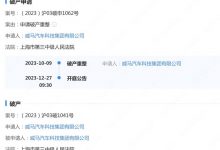 官方证实 威马汽车破产重整获法院受理-深圳汽车网