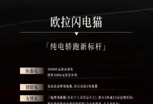 闪电猫/好猫等 欧拉至高现金减免3万元-深圳汽车网