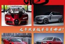 车企如何迎新年 龙年限量版车型盘点-深圳汽车网